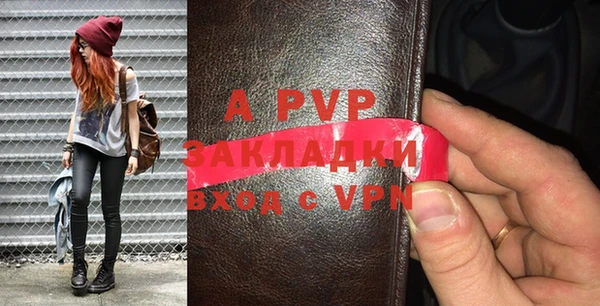 соль ск Няндома