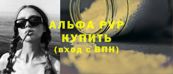 соль ск Няндома