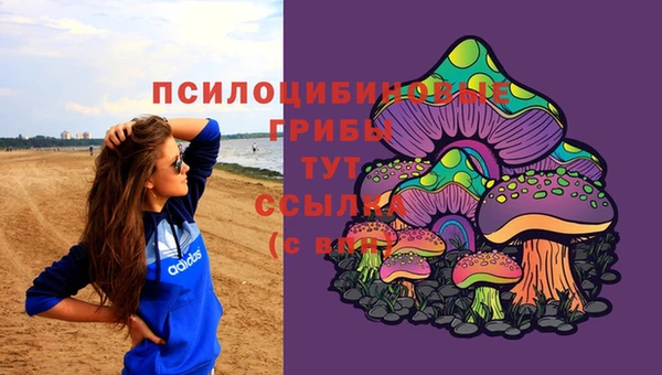 соль ск Няндома