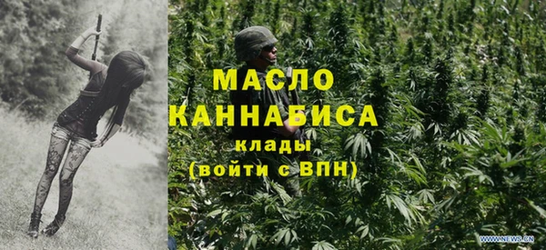 соль ск Няндома