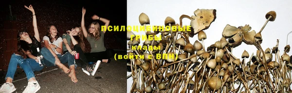 сатива Нязепетровск