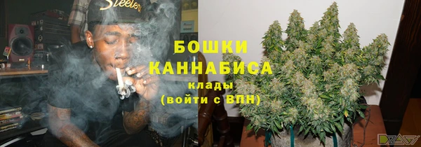 сатива Нязепетровск