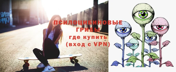 дурь Нягань